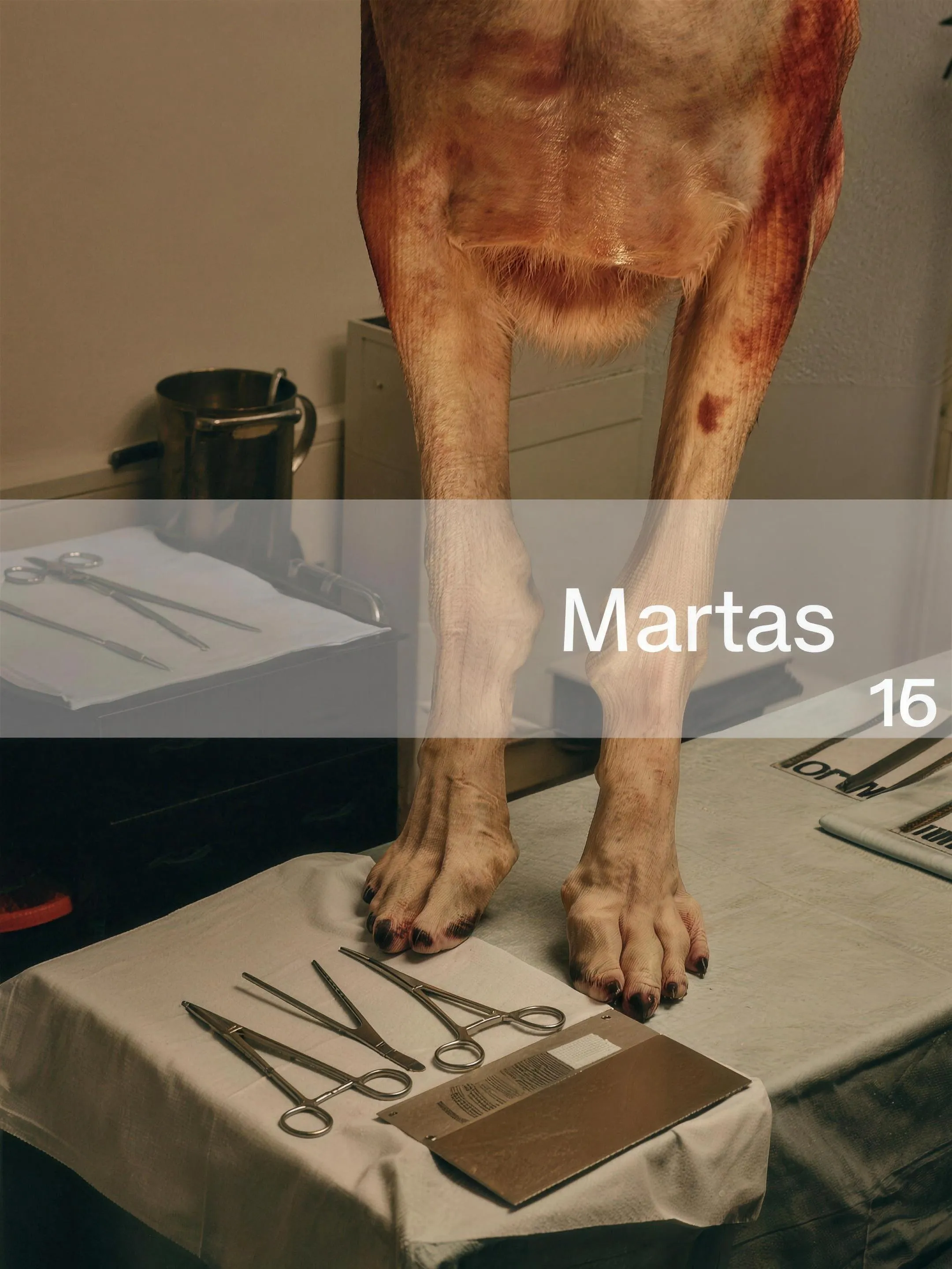 Voorbereiding voor een operatie in een Nederlandse dierenartspraktijk, steriele operatiekamer, geen dier zichtbaar. Documentaire sfeer, geen tekst of logo's in beeld.